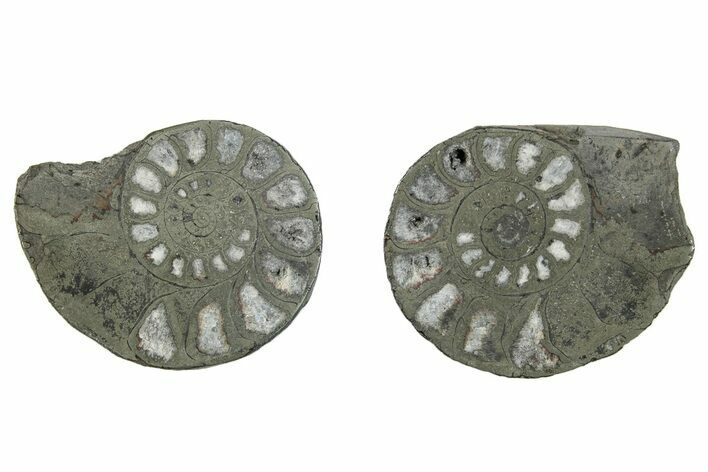 Pyritized Cut Ammonite Fossil Pair - Morocco #276595